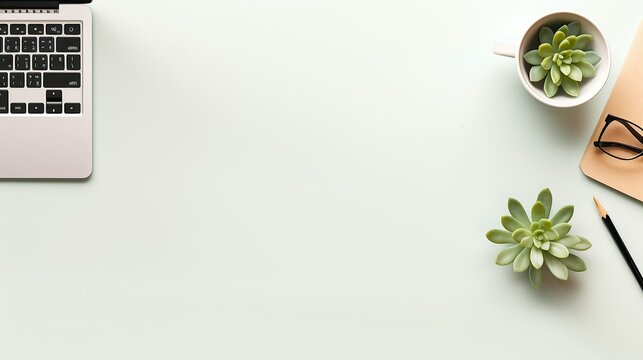 minimalist workspace with laptop and plants background