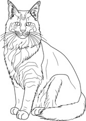 Mainecoon Cat Coloring Page