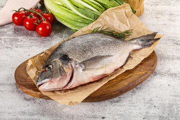 Raw dorada fish served rosemary