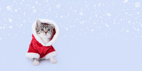 Cat in Santa costume. Cat Santa Claus on the white background. Merry Christmas. Happy New Year. 2024. Santa's helper. Holiday. Christmas cat card. Winter. Studio shot of Kitten in festive outfit. Snow