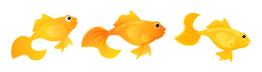 Fotobehang Cute gold fish vector clipart. Aquarium goldfish isolated illustration © Богдан Скрипник