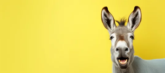 Zelfklevend Fotobehang Playful and stylish donkey poses in studio shoot with copy space on pastel background © Ilja