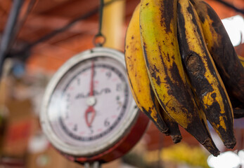 bunch of bananas in the foreground with a weighing scale in the background in the central covered market of Arequipa, Peru.