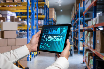 E-commerce data software provide modish dashboard for sale analysis to the online retail business