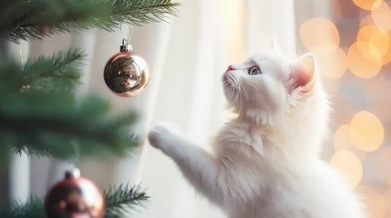 Tuinposter Cute adorable White Christmas kitty Christmas tree postcard banner © Natalia