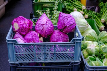 Red and white cabbage. farmer's produce for sale in the city market