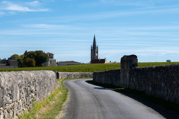 Vineyards near St. Emilion town, production of red Bordeaux wine, Merlot or Cabernet Sauvignon...