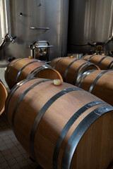 French oak wooden barrels for aging red wine in cellar, Saint-Emilion wine making region picking,...
