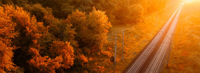Dawn's Embrace: Autumnal Tranquility in the Railway Forest