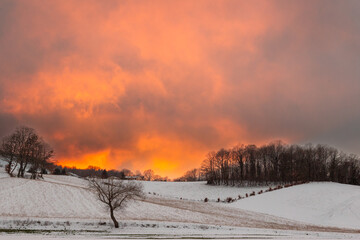 Winter landscape, with trees and hill covered by snow and warm, orange sunset sky - 683546075