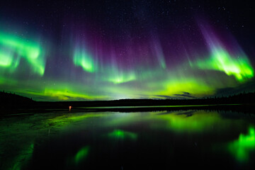 Northern Light in Yellowknife