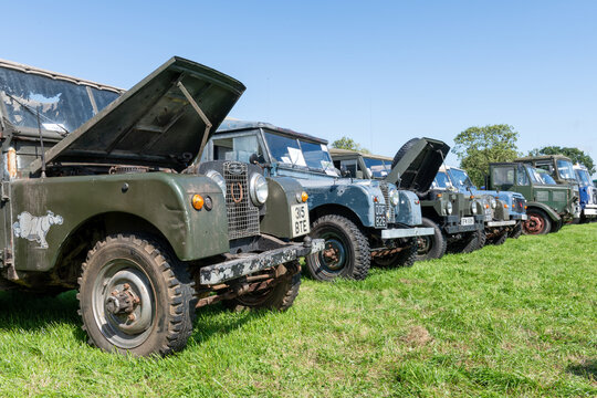 A row of antique Land Rovers