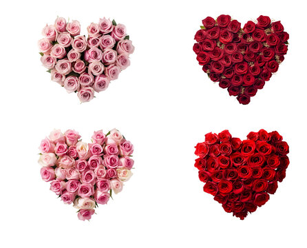 Valentine’s Day heart shape created from a set of pink and red roses, Isolated on Transparent Background, PNG