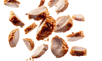 Filé de peito de frango cortado, torrado caindo. Delicioso filé de frango crocante e suculento em fundo branco ou sem fundo, transparente, png.