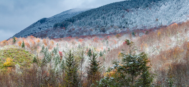 Fall and Winter come together in Pisgah National Forest in North Carolina