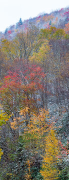 Fall and Winter come together in Pisgah National Forest in North Carolina