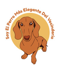 Soy El Perro Mas Elegante Del Vecindario