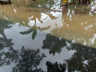 After the rain falls the environment is submerged by flood water.