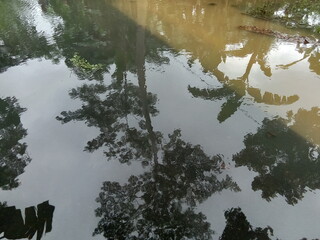 After the rain falls the environment is submerged by flood water.