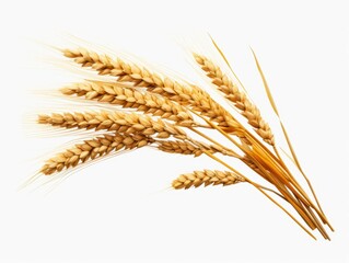 Unveiling the Majestic Beauty of Isolated Wheat: An Ode to PH 2's Unique Photographic Style Generative AI