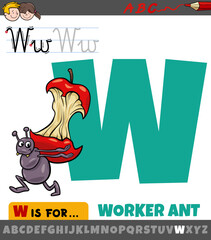 letter W from alphabet with cartoon worker ant animal character