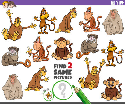 find two same cartoon monkeys animals educational activity