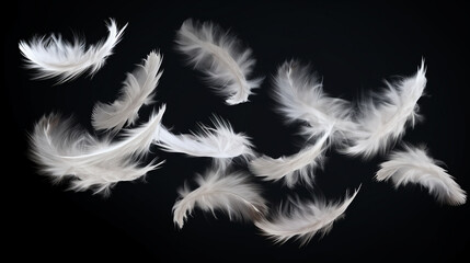 Obraz premium Falling fluffy white feathers isolated on black background, AI Generative.