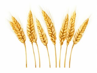 Stunning Detail of Triple Harvest: Trio of Wheat Ears in Crisp Isolation Generative AI