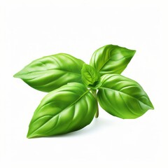 Fototapeta premium Experience the Vivid Freshness: Unveiled Green Basil Leaves on Pristine White Backdrop Generative AI