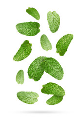 Fresh mint leaves falling on white background