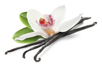 Vanilla pods, green leaves and flower isolated on white