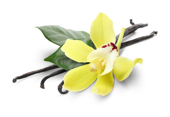 Vanilla pods, green leaves and yellow flower isolated on white