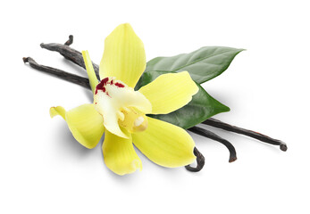 Vanilla pods, green leaves and yellow flower isolated on white