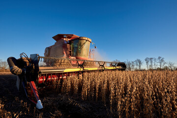 Close up view of combine harvester working on a field of soybeans