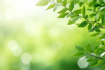 Fototapeta na wymiar Nature Blur Greenery Bokeh Leaf Wallpaper - Lush Foliage Captured with Generative AI Tools