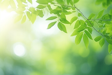Obraz premium Nature Blur Greenery Bokeh Leaf Wallpaper - Lush Foliage Captured with Generative AI Tools