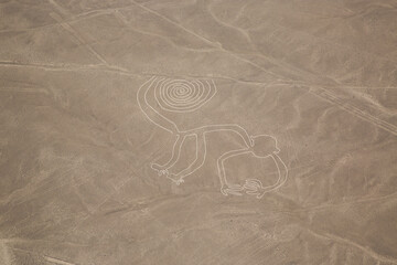 View of nazca Line: The monkey