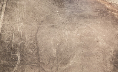 View of nazca Line: The humingbird