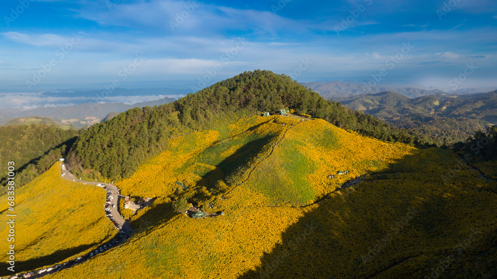 Poster Aerial view landscape of Mountain in morning time nature flower Tung Bua Tong Mexican sunflower field , Mae Hong Son, Thailand. drone view Beautiful yellow of Mexican sunflower field on hill