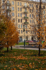Kharkiv, Ukraine - November 12, 2023: Beautiful autumn trees shedding orange leaves