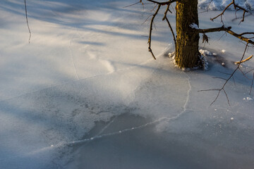 Dense white ice on a stream around a tree, icy winter background