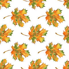 Naklejka na ściany i meble Watercolor illustration of a pattern of autumn orange-green maple leaves on an isolated background. Suitable for autumn festival design, Halloween, greeting cards, invitations, poster design.