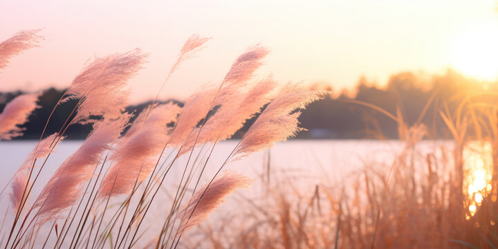 Wispy tall grasses sway gently by a serene lake, set against a backdrop of a soft pink sunrise
