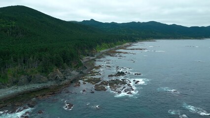 Top view of beautiful landscape of forest mountains with rocky shore. Clip. Picturesque landscape of green forest and embankment with waves and rocks. Stone coast with green forests of coast mountains