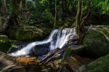 Waterfall in a tropical jungle on Koh Samui island in Thailand