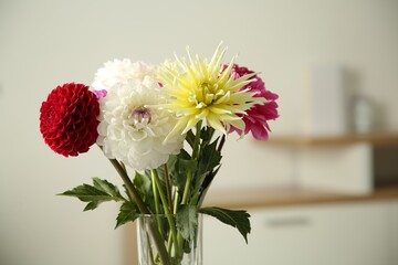 Bouquet of beautiful Dahlia flowers in vase at home. Space for text