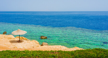 summer background banner with summer landscape