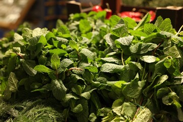 Fresh mint leaves on counter at wholesale market, closeup