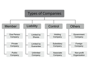 Types of companies or Business Structures divided by members, control, liability and others
