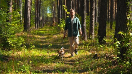 Naklejka na ściany i meble Man walks with dog on sunny summer day. Stock footage. Man walks with dog in green forest on sunny day. Pleasant walk with dog in summer forest